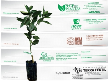 Branca com Impressão 1 cor e Corte